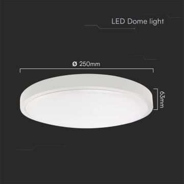 LED Stropna svjetiljka za kupaonicu LED/18W/230V IP44 3000K pr. 25 cm bijela