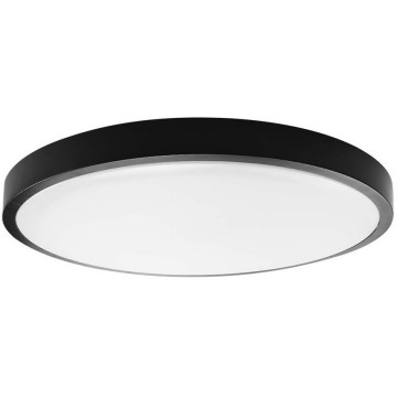 LED Stropna svjetiljka za kupaonicu LED/18W/230V IP44 4000K pr. 25 cm crna