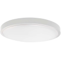 LED Stropna svjetiljka za kupaonicu LED/18W/230V IP44 6500K pr. 25 cm bijela