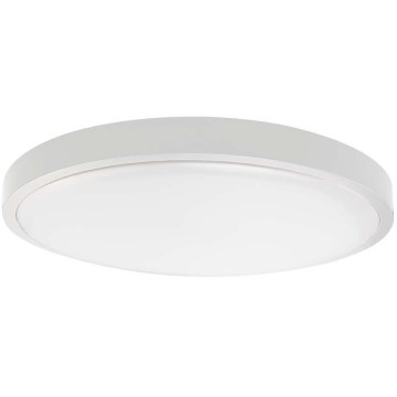 LED Stropna svjetiljka za kupaonicu LED/18W/230V IP44 6500K pr. 25 cm bijela