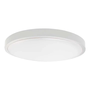 LED Stropna svjetiljka za kupaonicu LED/24W/230V 3000K IP44 bijela