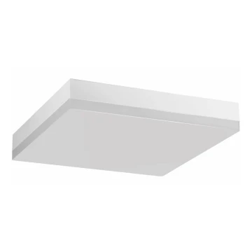 LED Stropna svjetiljka za kupaonicu LED/24W/230V 4000K 28 cm IP44