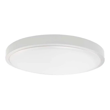 LED Stropna svjetiljka za kupaonicu LED/24W/230V 4000K IP44 bijela