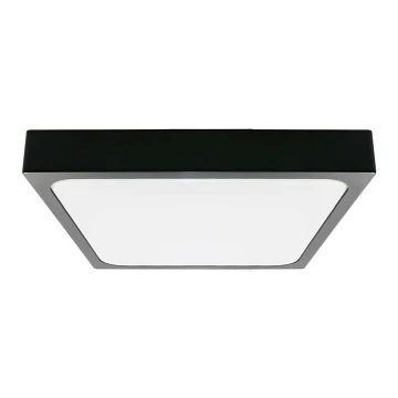 LED Stropna svjetiljka za kupaonicu LED/24W/230V 6500K IP44 crna