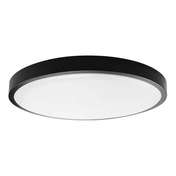 LED Stropna svjetiljka za kupaonicu LED/24W/230V 6500K IP44 crna