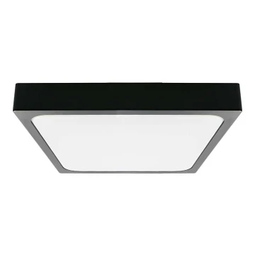 LED Stropna svjetiljka za kupaonicu LED/30W/230V 3000K IP44 crna