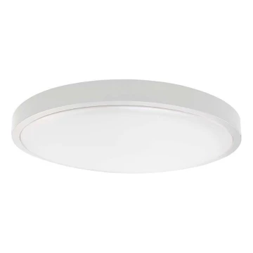 LED Stropna svjetiljka za kupaonicu LED/30W/230V 6500K IP44 bijela