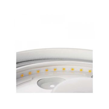 LED Stropna svjetiljka za kupaonicu LED/32W/230V IP44