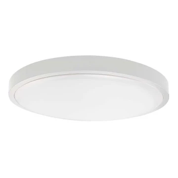 LED Stropna svjetiljka za kupaonicu LED/36W/230V 4000K IP44 bijela