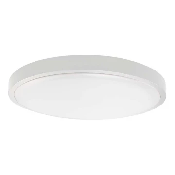 LED Stropna svjetiljka za kupaonicu LED/36W/230V 6500K IP44 bijela