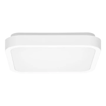 LED Stropna svjetiljka za kupaonicu LUKY LED/12W/230V 4000K 25x25 cm IP44 bijela