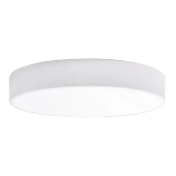 LED Stropna svjetiljka za kupaonicu RENE LED/15W/230V IP44 bijela
