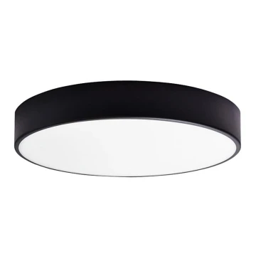 LED Stropna svjetiljka za kupaonicu RENE LED/15W/230V IP44 crna