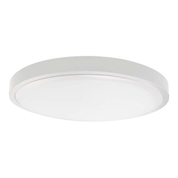 LED Stropna svjetiljka za kupaonicu SAMSUNG CHIP LED/18W/230V IP44 4000K pr. 25 cm bijela