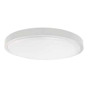 LED Stropna svjetiljka za kupaonicu SAMSUNG CHIP LED/18W/230V IP44 6500K pr. 25 cm bijela