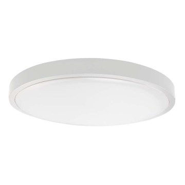 LED Stropna svjetiljka za kupaonicu SAMSUNG CHIP LED/24W/230V IP44 3000K pr. 29 cm bijela