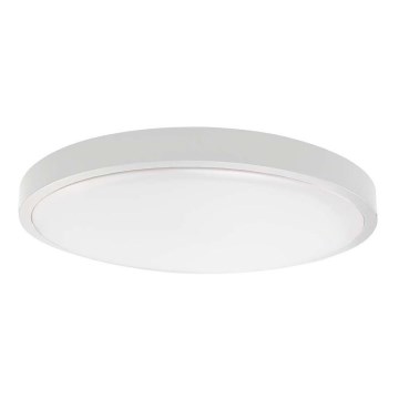 LED Stropna svjetiljka za kupaonicu SAMSUNG CHIP LED/24W/230V IP44 4000K pr. 29 cm bijela