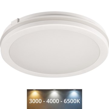 LED Vanjska stropna svjetiljka BENO ECO LED/12W/230V 3000/4000/6500K pr. 20 cm IP65 bijela