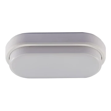 LED Vanjska stropna svjetiljka LED/12W/230V IP54