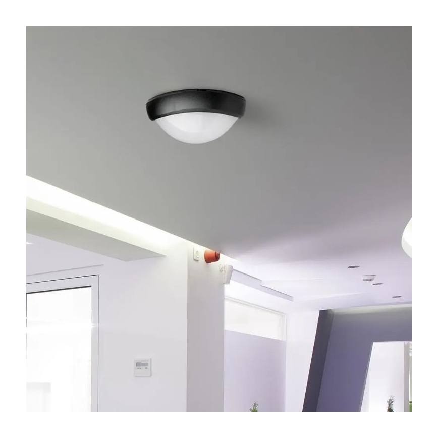 LED Vanjska stropna svjetiljka LED/12W/230V IP54