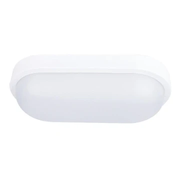 LED Vanjska stropna svjetiljka LED/20W/230V IP54