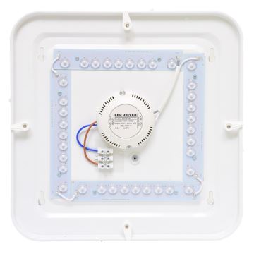 LED Vanjska stropna svjetiljka LUKA LED/42W/230V IP44