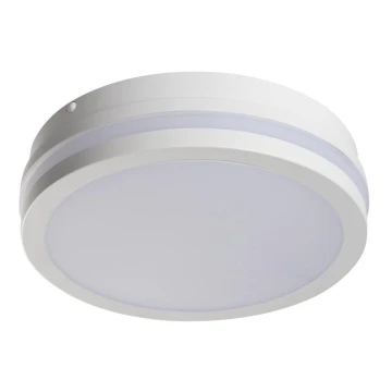 LED Vanjska svjetiljka BENO LED/18W/230V 4000K bijela IP54