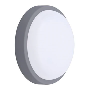 LED Vanjska zidna svjetiljka LED/20W/230V 4000K IP54 siva okrugli