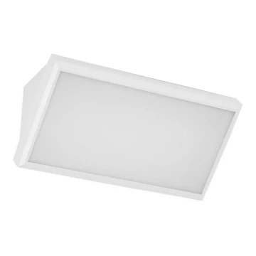 LED Vanjska zidna svjetiljka LED/20W/230V 6400K IP65 bijela