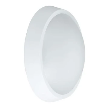 LED Vanjska zidna svjetiljka LED/24W/230V 4000K IP54 bijela