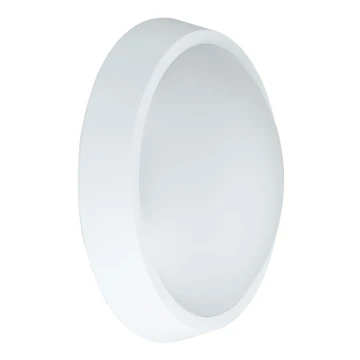 LED Vanjska zidna svjetiljka LED/30W/230V 4000K IP54 bijela