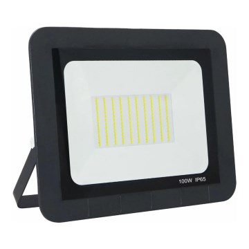 LED Vanjski reflektor LED/100W/230V 6500K IP65