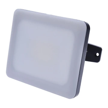 LED Vanjski reflektor LED/10W/230V 4000K IP65