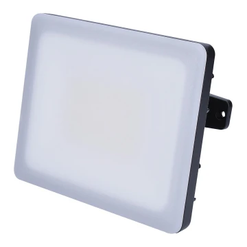 LED Vanjski reflektor LED/30W/230V 4000K IP65