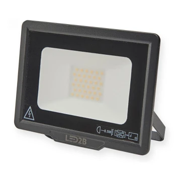 LED Vanjski reflektor LED/30W/230V 6500K IP65