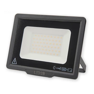 LED Vanjski reflektor LED/50W/230V 6500K IP65