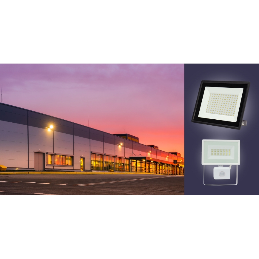 LED Vanjski reflektor NOCTIS LUX 3 LED/30W/230V 4000K IP65 bijela