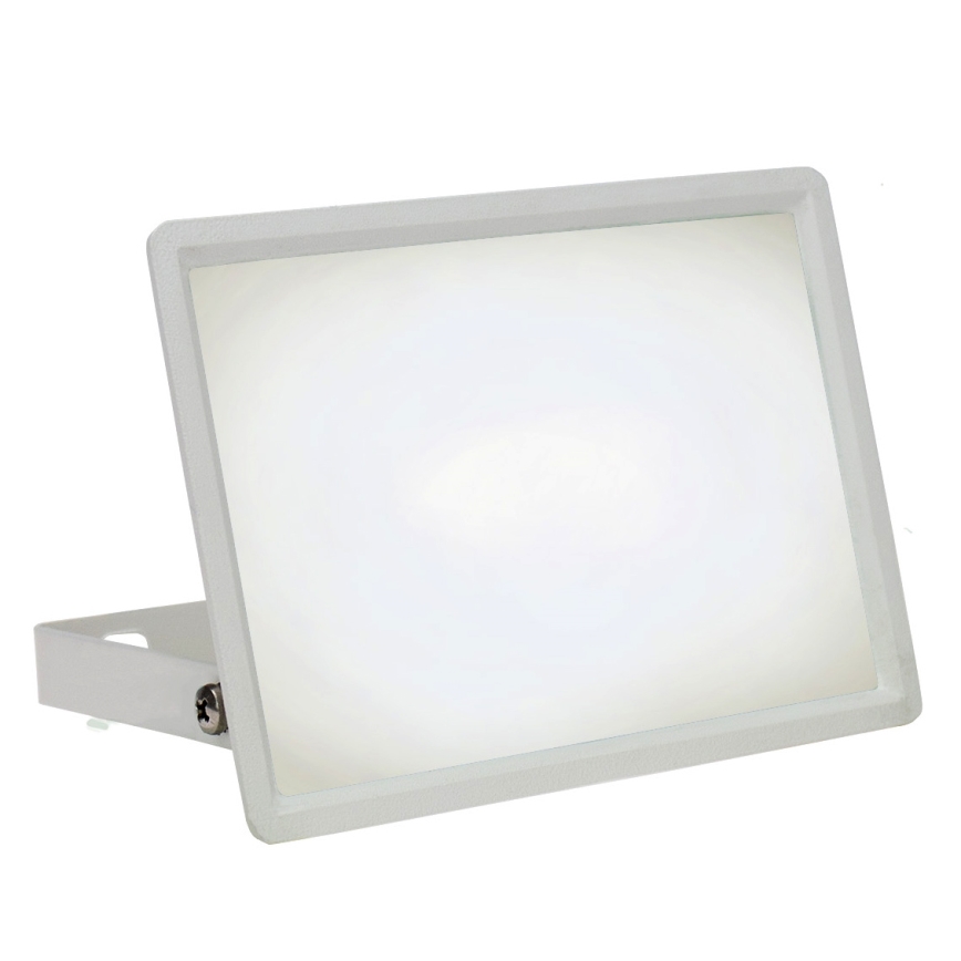 LED Vanjski reflektor NOCTIS LUX 3 LED/30W/230V 4000K IP65 bijela