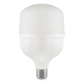 LED Žarulja T100 E27/30W/230V 6500K