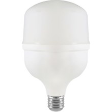LED Žarulja T100 E27/30W/230V 6500K