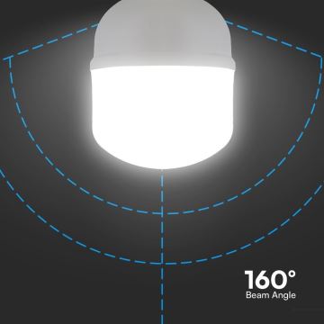 LED Žarulja T100 E27/30W/230V 6500K