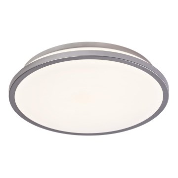 Ledvance - LED Stropna svjetiljka ORBIS DUBLIN LED/16W/230V pr. 29,5 cm