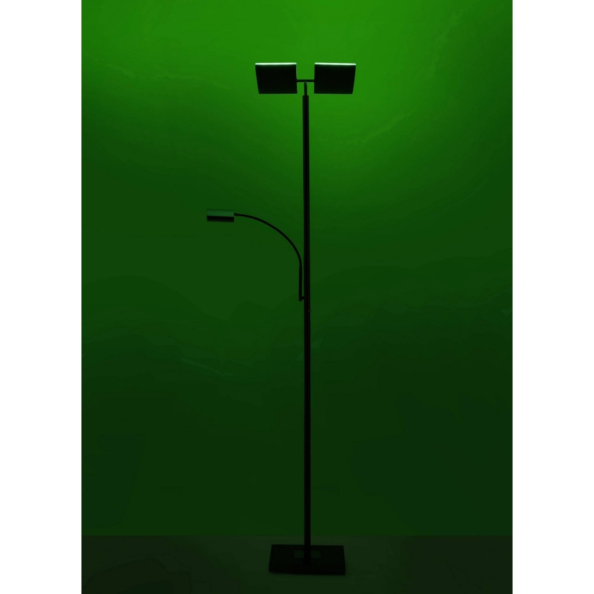 Leuchten Direkt 11925-55 - LED RGB Prigušiva podna lampa RUBEN 2xLED/11W/230V+LED/4,8W 2700-5000K + daljinski upravljač