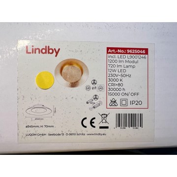 Lindby - LED Stropna svjetiljka KETI LED/12W/230V
