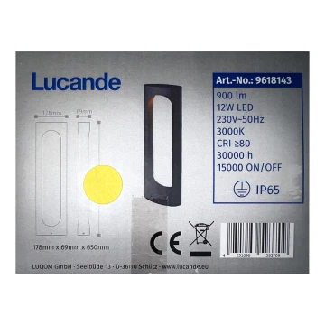 Lucande - LED Vanjska lampa FENTI LED/12W/230V IP65