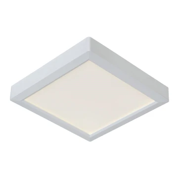 Lucide 07106/18/31 - Stropna svjetiljka TENDO-LED LED/18W/230V