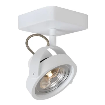 Lucide 31930/12/31 - LED Reflektorska svjetiljka TALA LED 1xG53/12W/230V/12V