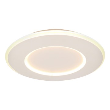 Lucide 44110/24/31 - LED Prigušiva stropna svjetiljka AXELLE LED/24W/230V bijela