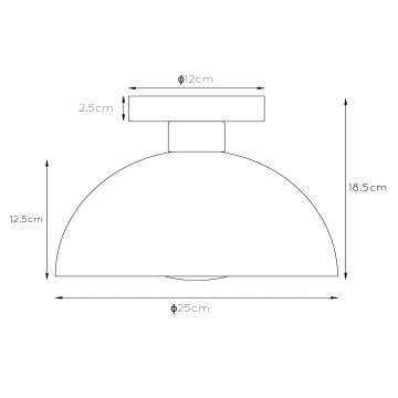 Lucide 45196/01/30 - Stropna svjetiljka SIEMON 1xE27/40W/230V crna