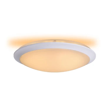 Lucide 79174/18/31 - LED stropna svjetiljka BONNY LED/18W/230V bijela